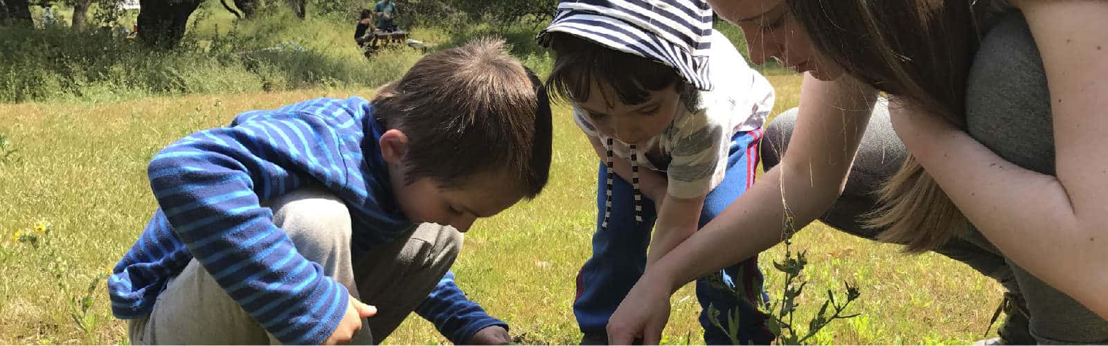 Una madre y un niño están plantando un árbol en un campo.