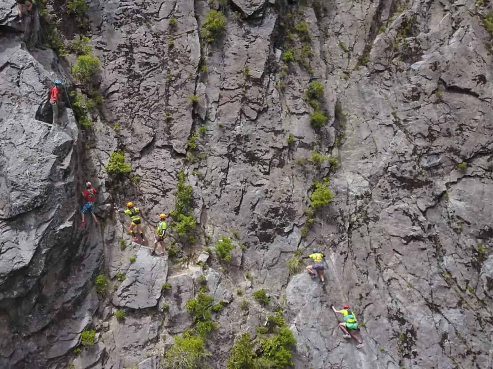 Un grupo de personas escalando una montaña.