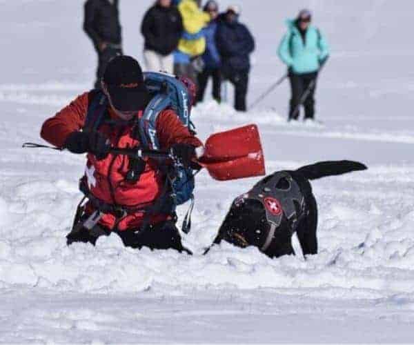 Un hombre con un perro disfruta del paisaje nevado a lo largo del Paso Pehuenche.