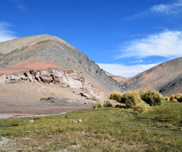 El paisaje del altiplano chileno, específicamente en la región norte.