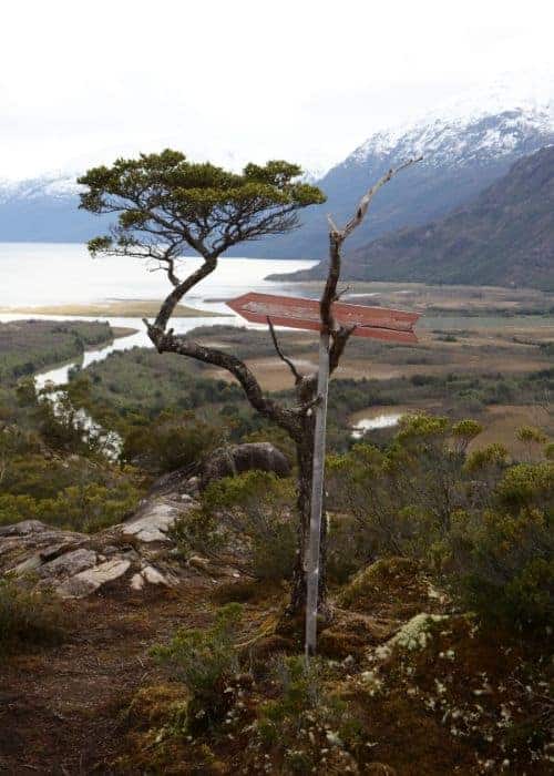 Un árbol de tortel se encuentra en la cima de una montaña con vistas a un lago.