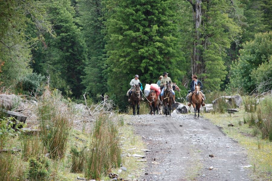 Una cabalgata cabalgando por un camino de tierra.