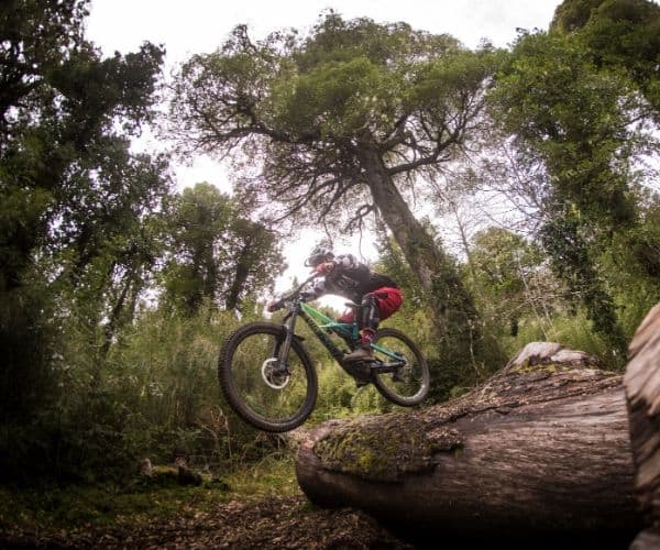 Una persona montando una bicicleta de montaña sobre un tronco en el bosque de Huilo Huilo.