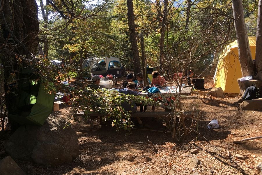 Un grupo de niños sentados alrededor de una mesa en una zona boscosa.