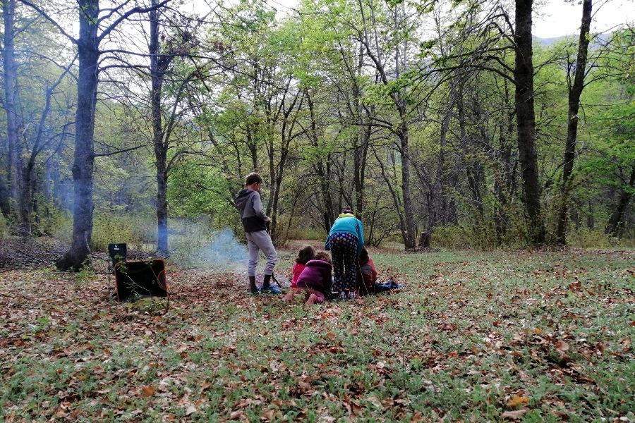 Un grupo de niños sentados alrededor de una fogata en el bosque, acampando.