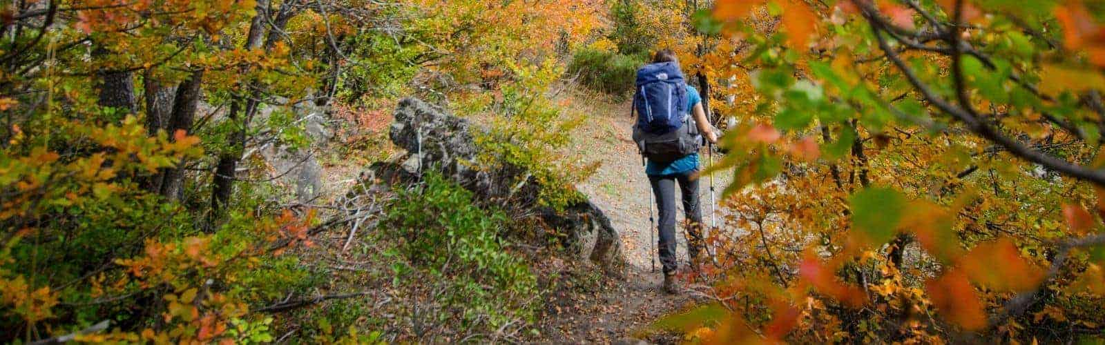 Una persona camina por un sendero en el otoño.