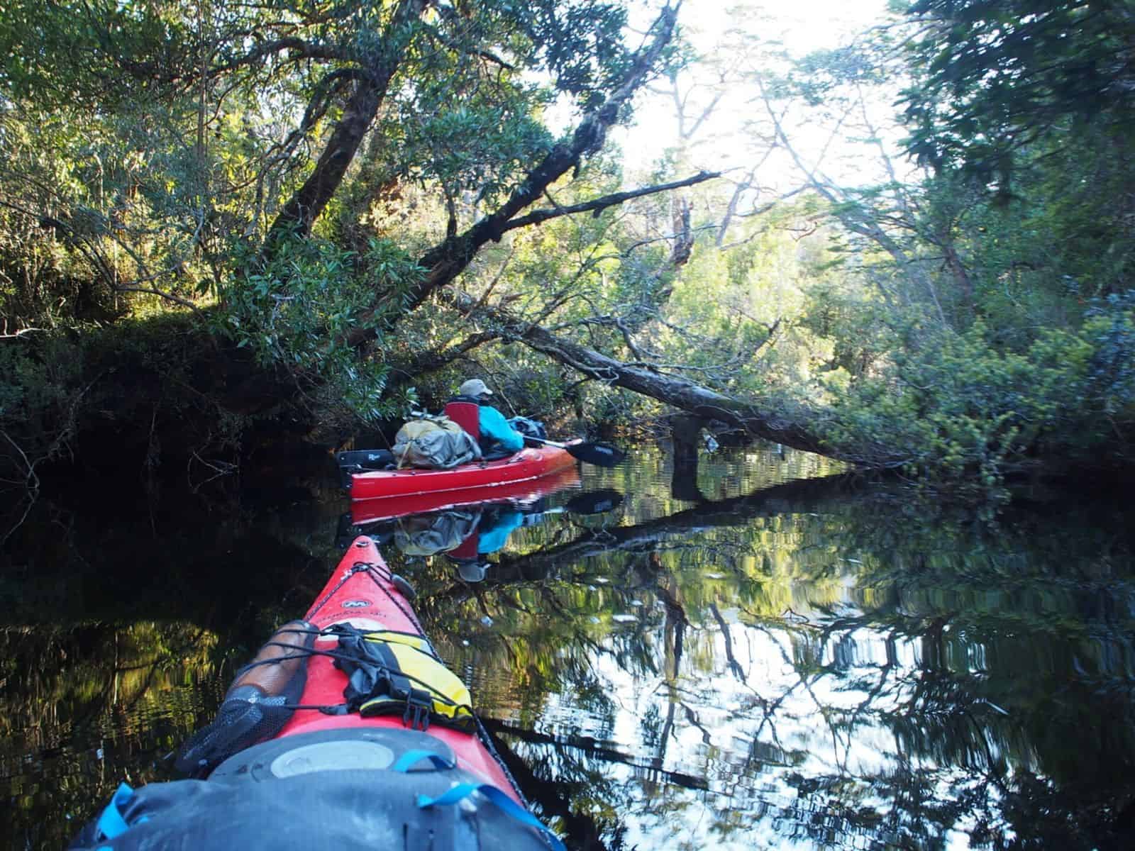 Dos personas navegando en kayak por un río con árboles al fondo, deslizándose por las aguas serenas.