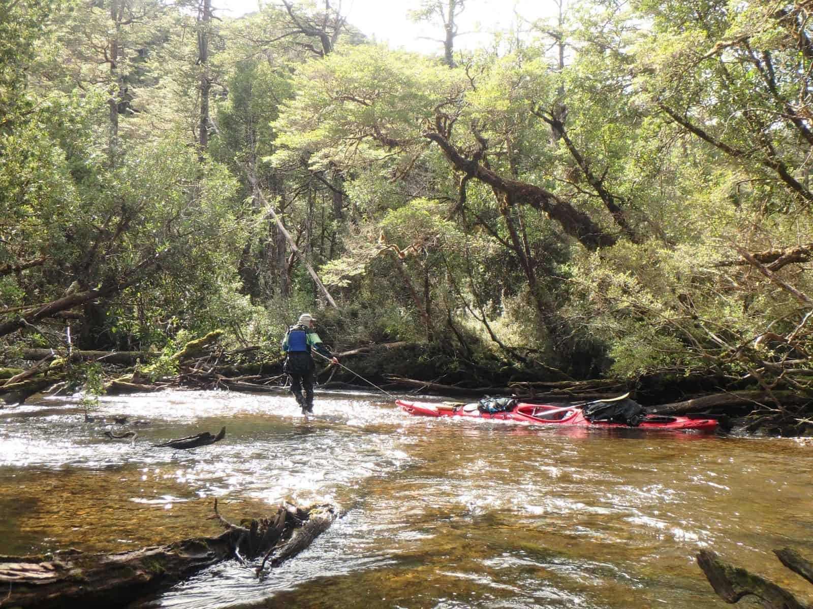 Un grupo de personas navegando en kayak por un río en una zona boscosa.