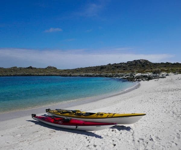 Dos kayaks se encuentran en una playa de arena junto al agua, perfectos para aventuras de campamento.