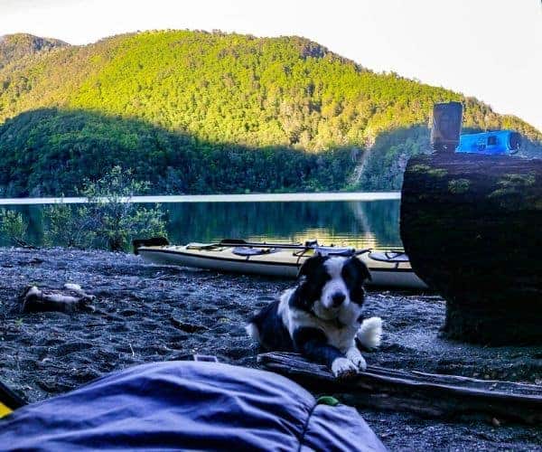 Un perro se sienta junto a un kayak en la playa durante el campamento.