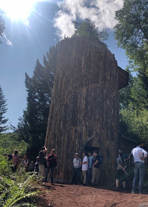 Un grupo de personas paradas alrededor de una torre de madera en el bosque, ubicada cerca del sendero y rodeada de exuberantes lagunas andinas.