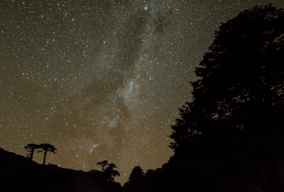Descripción: Un cielo nocturno con estrellas y árboles.

Palabras clave: estrellas, romance.