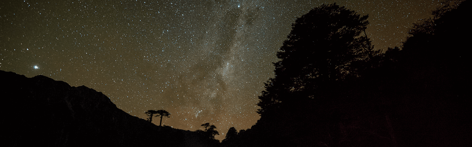 Descripción: Un cielo nocturno con estrellas y árboles.

Palabras clave: estrellas, romance.