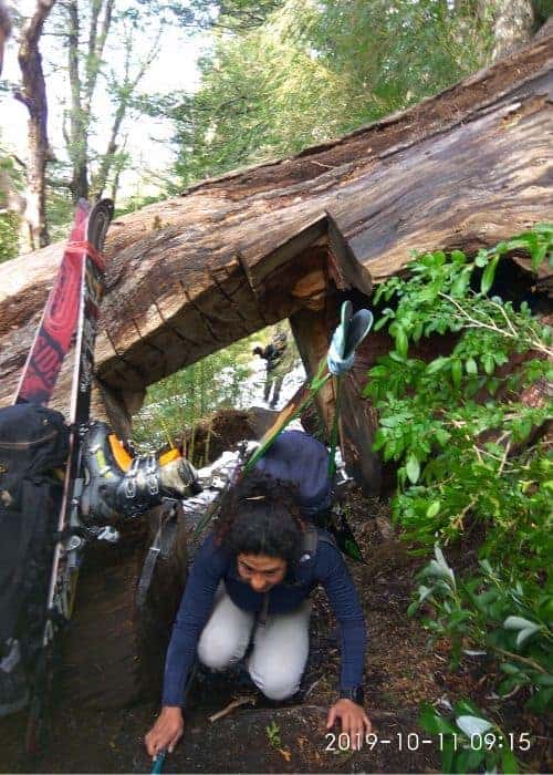 Una mujer se agacha junto a un árbol caído cerca de un volcán.