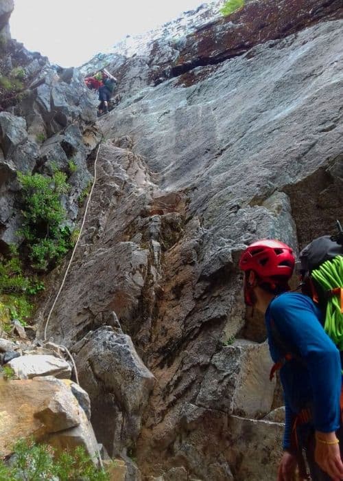 Un grupo de peinetas subiendo por un acantilado rocoso.