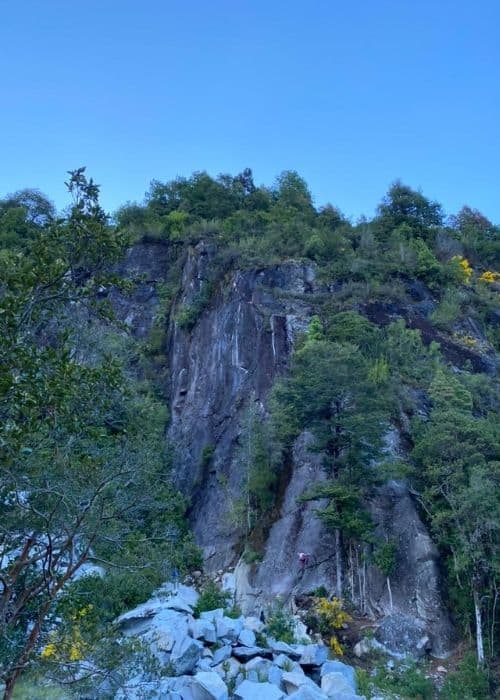 Un acantilado rocoso con árboles al fondo.