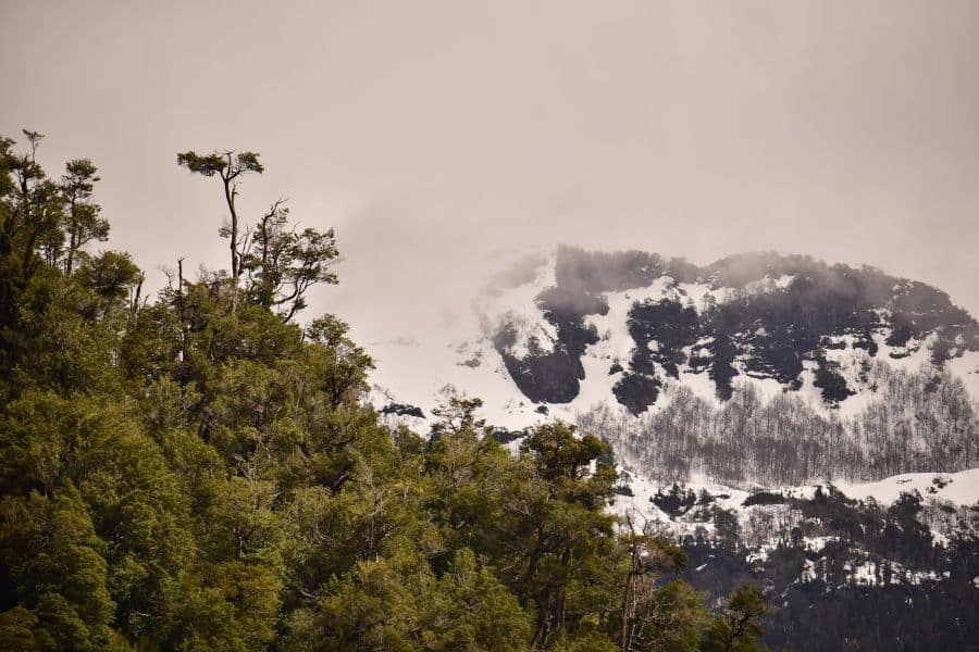 Al fondo aparece majestuosa una montaña nevada con árboles al fondo, el Volcán Yates o Yates.