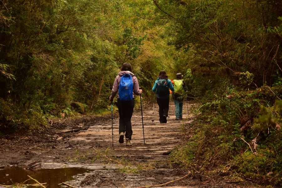Tres excursionistas caminando por un sendero cerca del Volcán Yates en la selva.