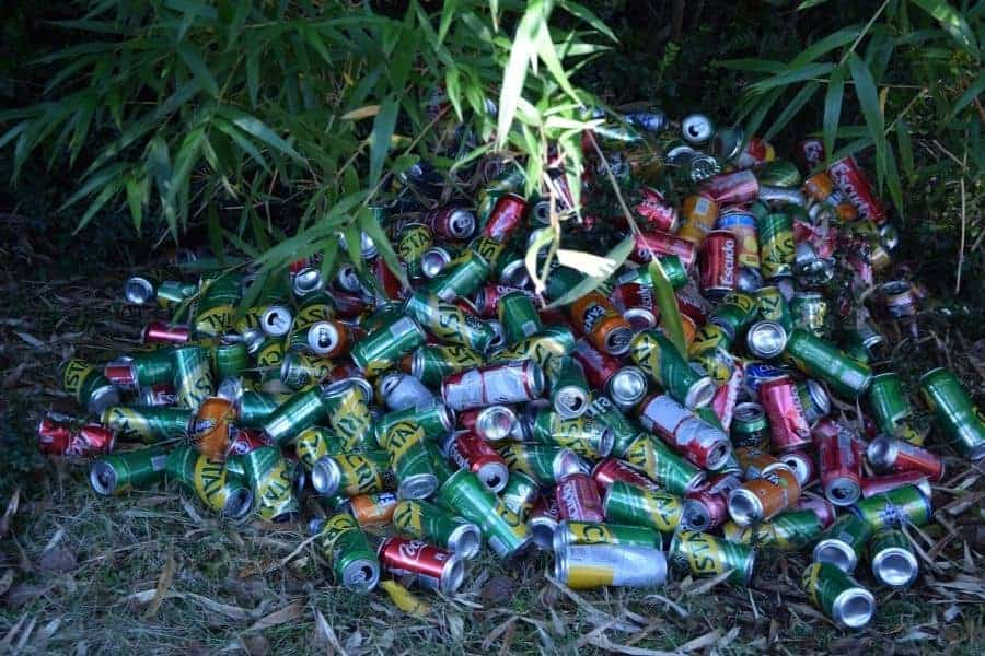 Un montón de latas en el suelo junto a un árbol andino.