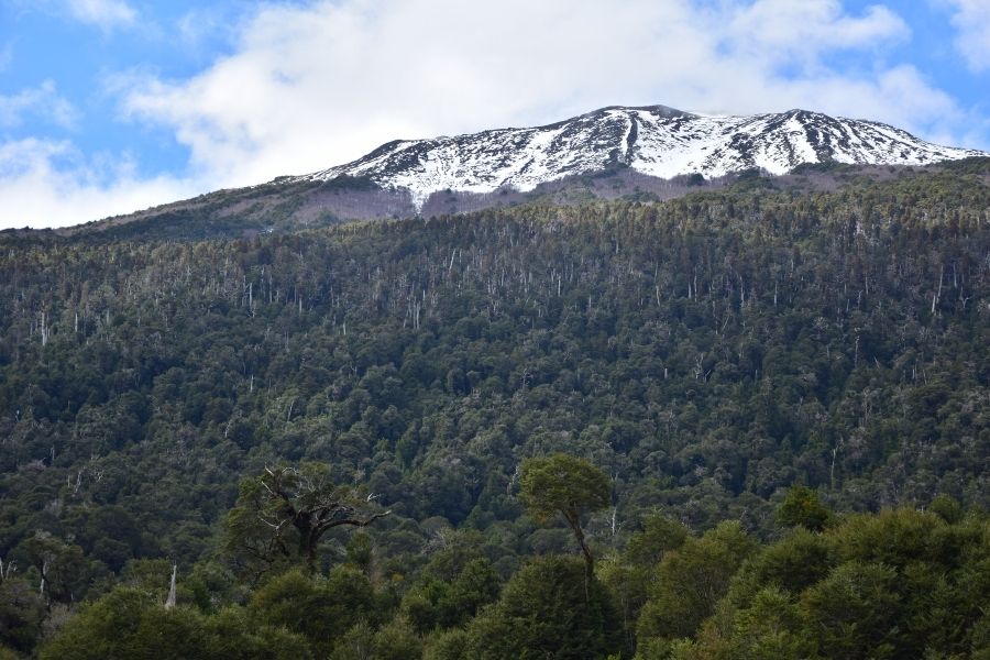 Una montaña cubierta de nieve con árboles al fondo, asemejándose a los majestuosos Andes.