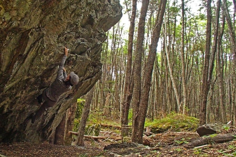 Un hombre explora la región de O'Higgins en la Patagonia mientras escala una roca en el bosque.