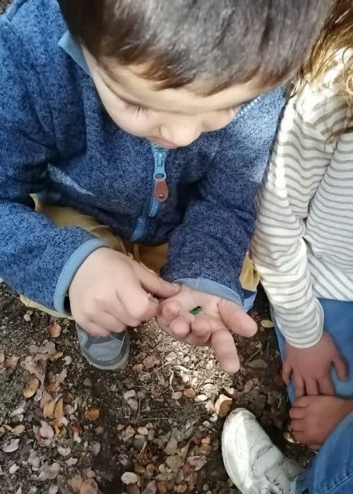 ideas buscar naturaleza en ciudad