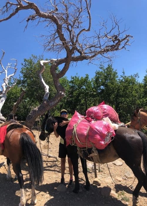 Un grupo de personas está de pie junto a un caballo con una bolsa rosa.