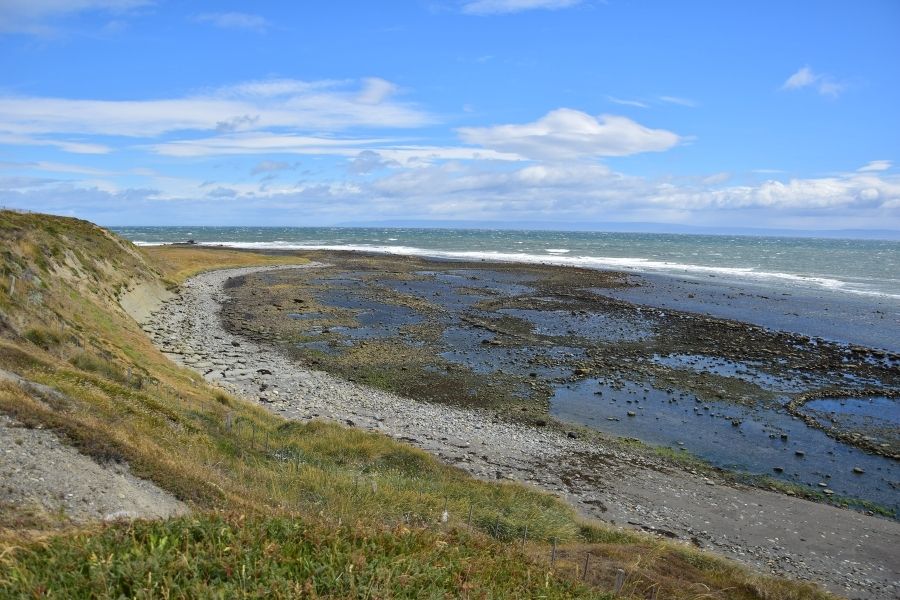 Una costa rocosa con pasto y arena cerca del océano en la Patagonia.