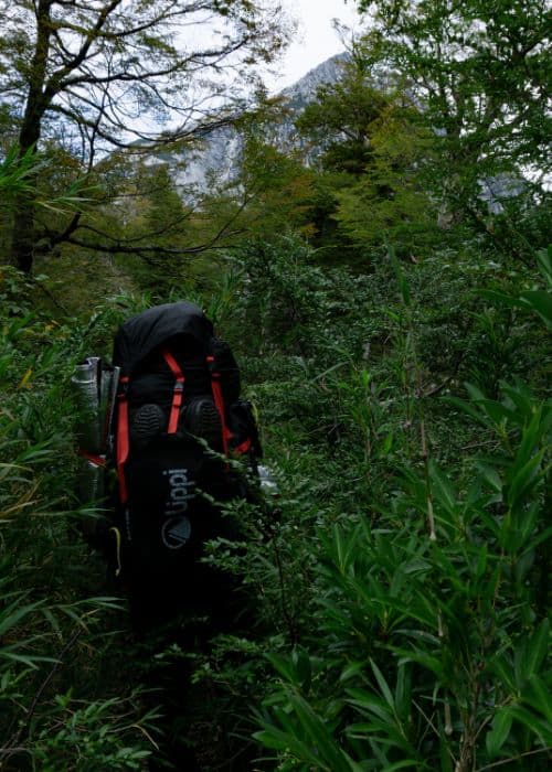 Un hombre emprende una travesía por un bosque de caulle con una mochila.