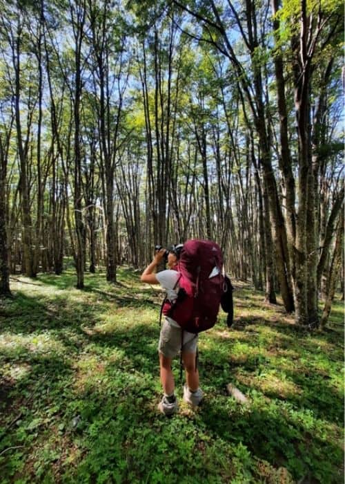 hike CERRO CASTILLO