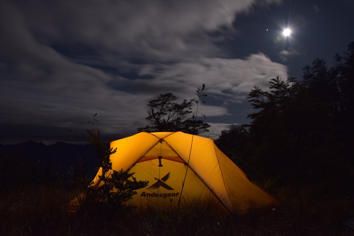 como elegir tu carpa